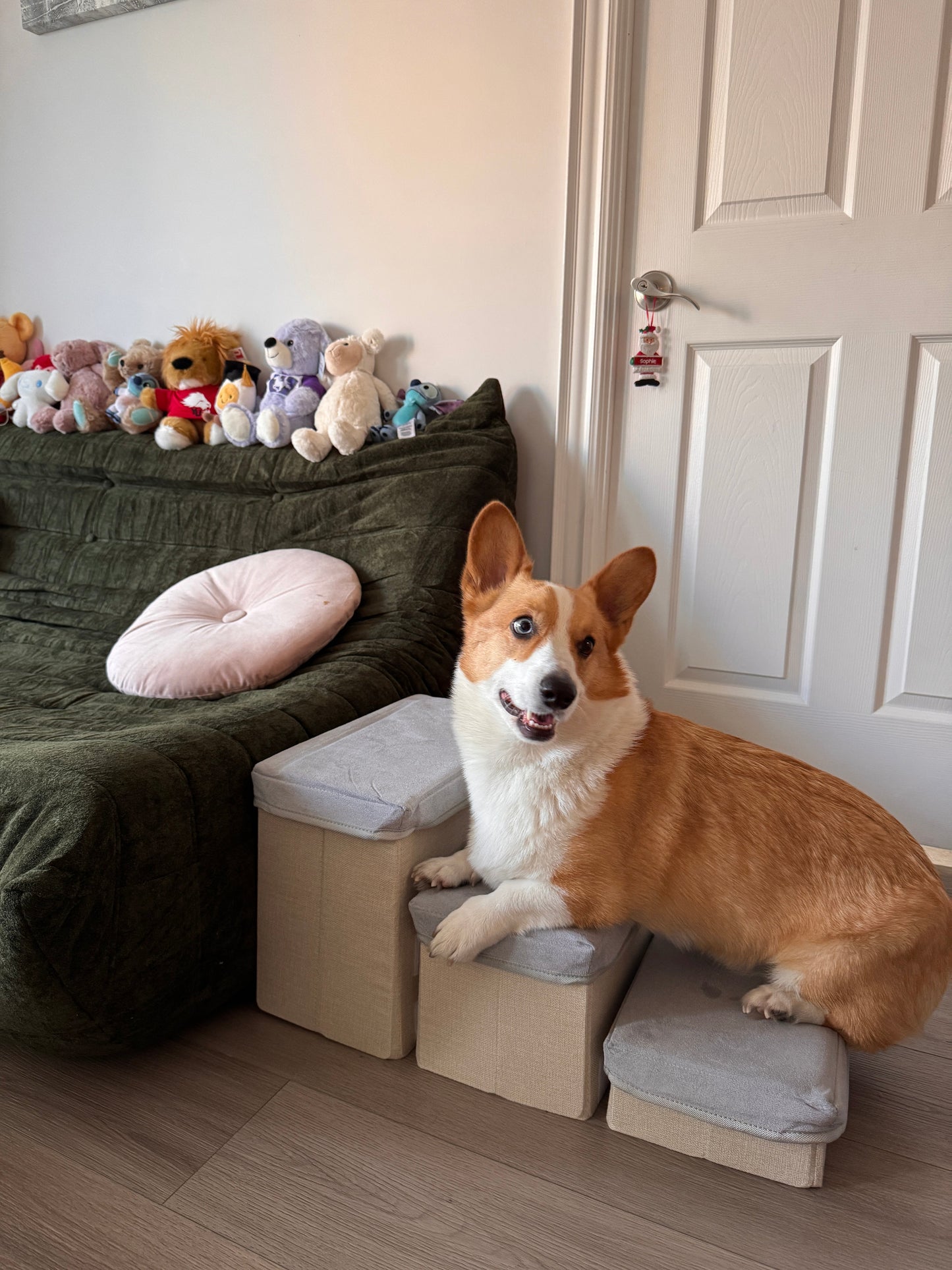 Portable Pet Stairs Forpaws