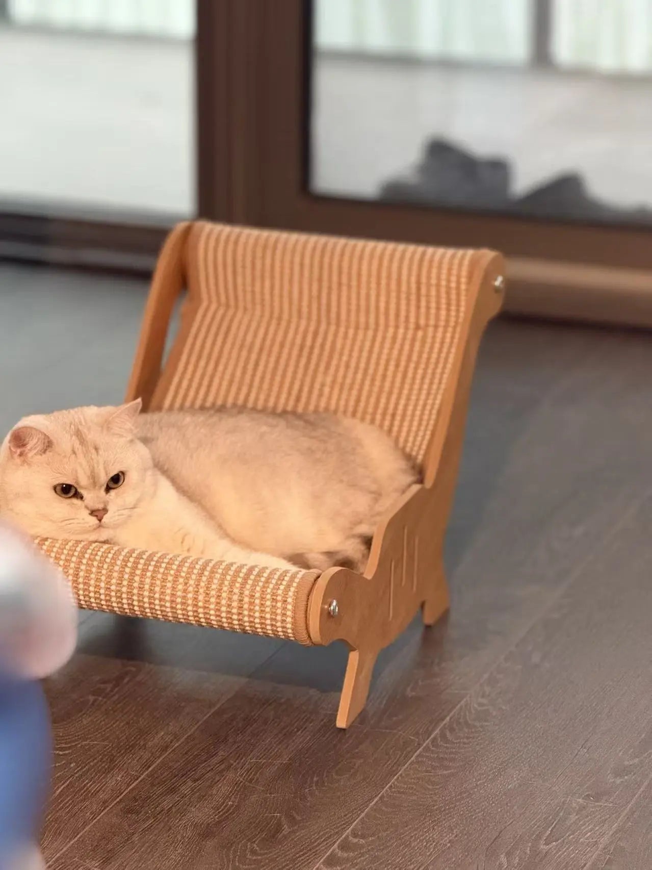 Cat Deck Chair Forpaws