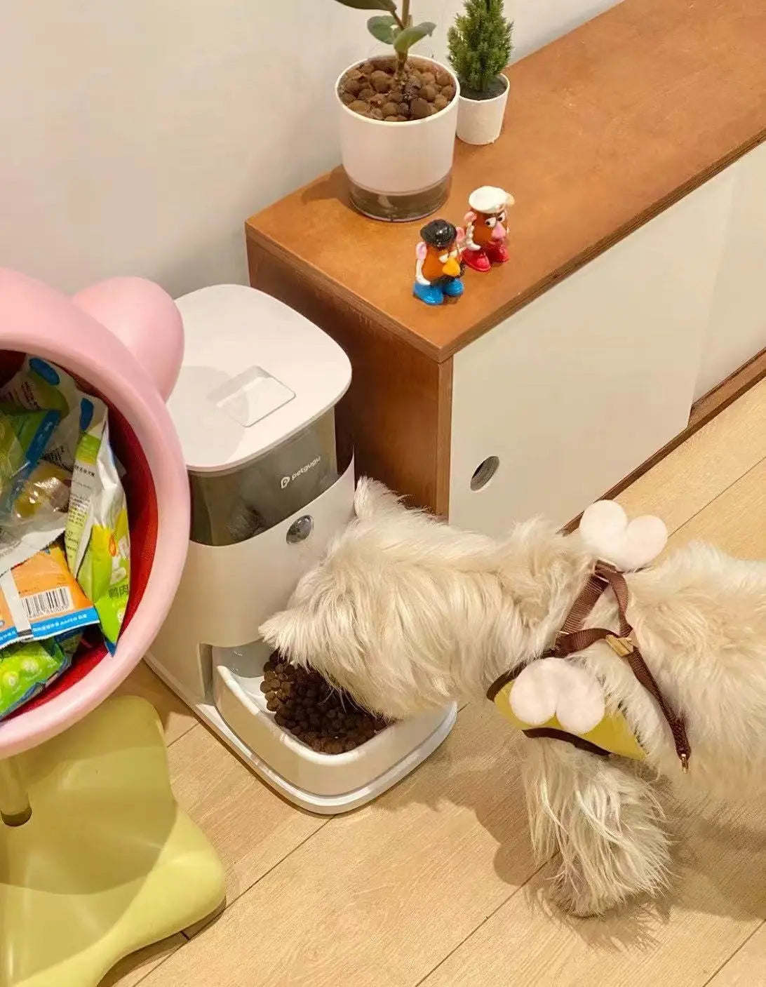 Cat Drop-In Care