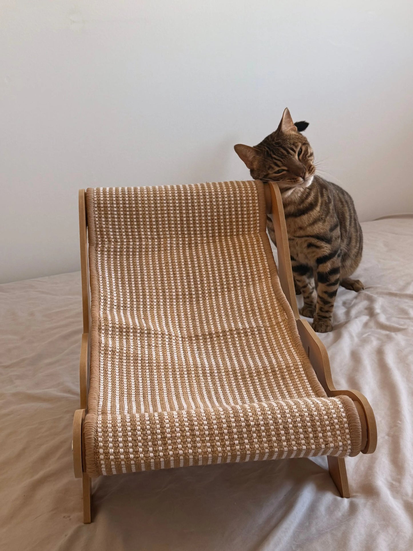 Cat Deck Chair Forpaws
