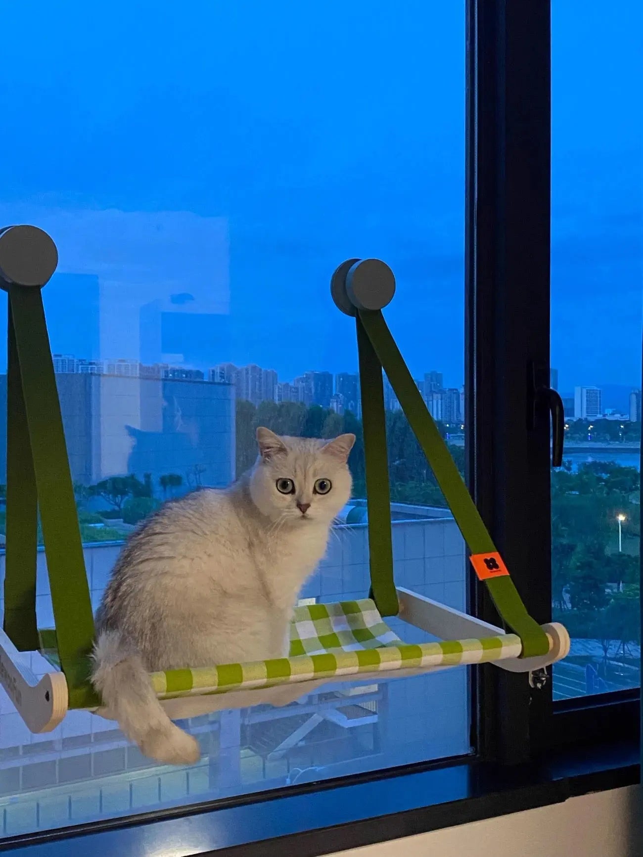 Cat Window Hammock Forpaws