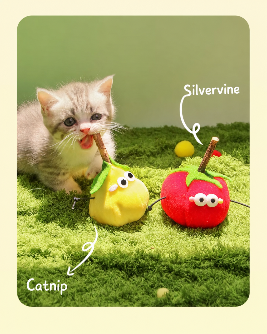 Squeaky Fruit Cat Toy with Silvervine Stick & Catnip – Tomato & Pear Plush Chew Toy