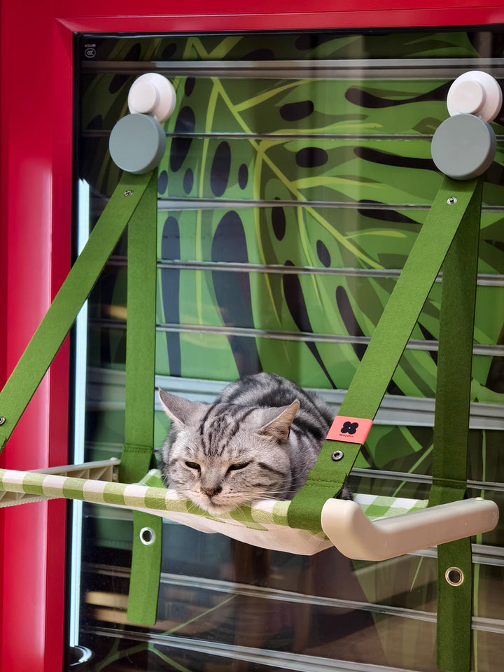 Cat Window Hammock Forpaws