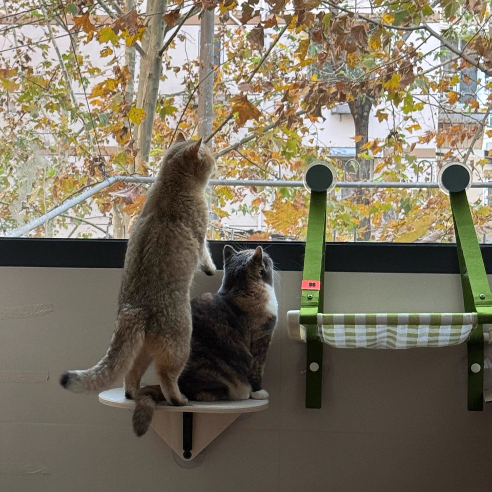 Cat Window Hammock Forpaws