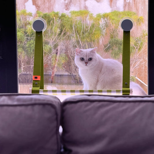 Cat Window Hammock Forpaws
