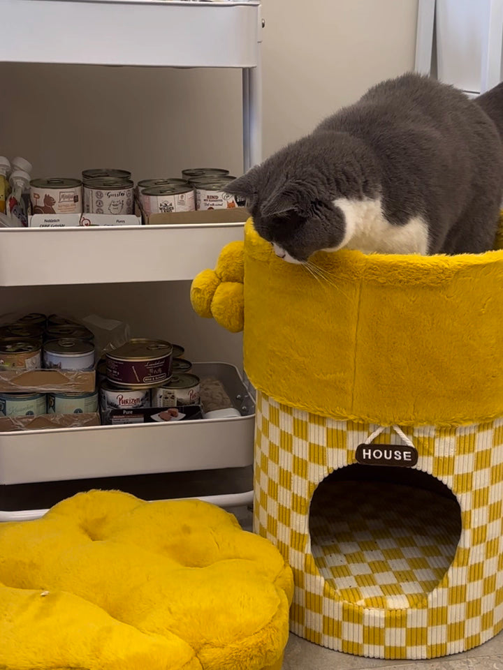 Tree House Cat Furniture with storage Forpaws