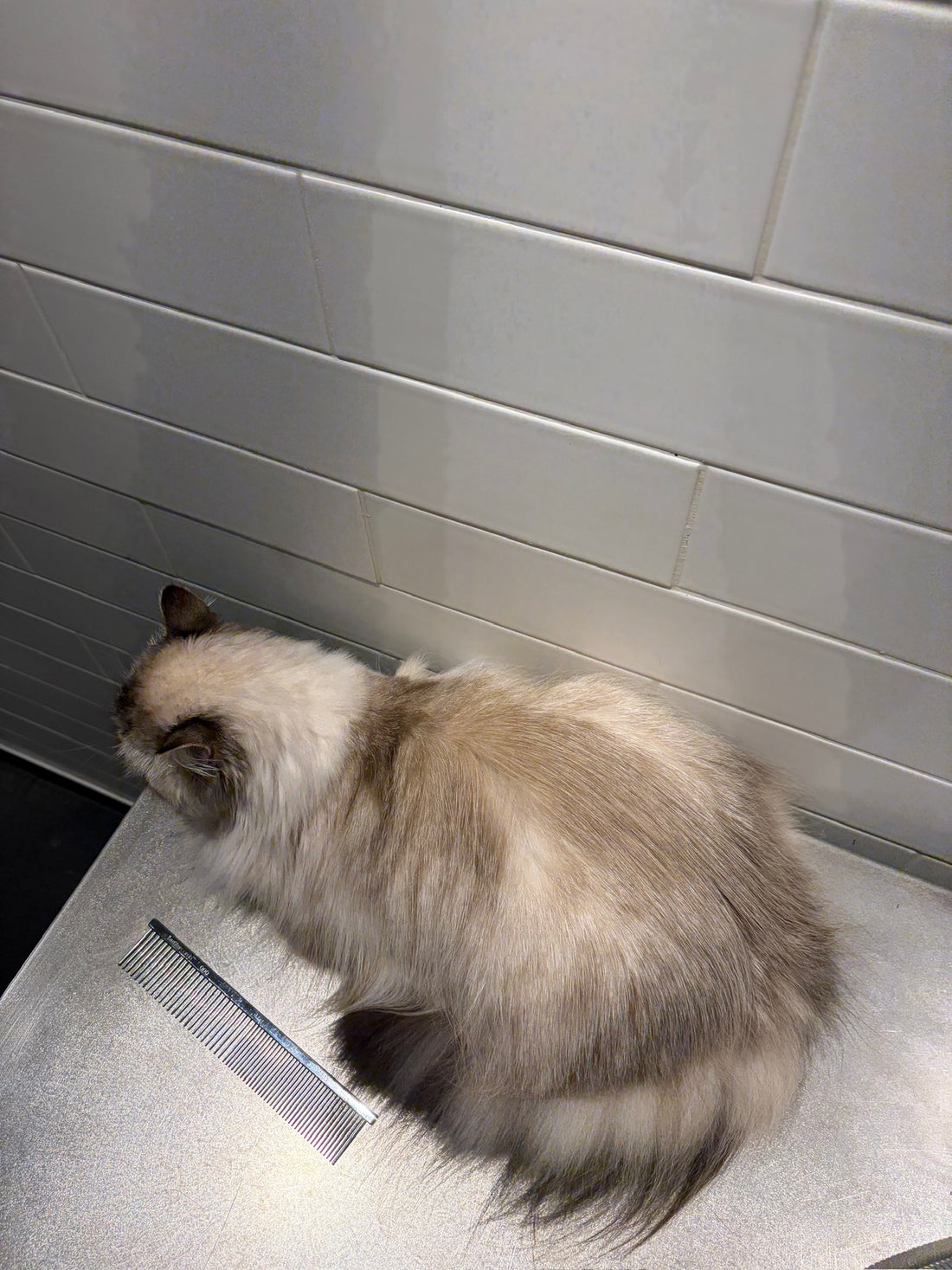 Fur lies more evenly, with a smoother finish.
