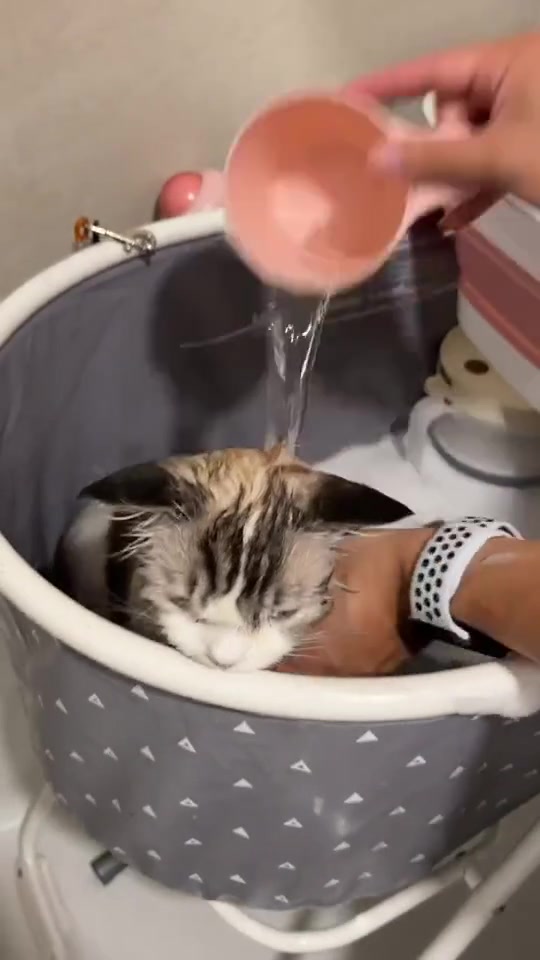 The spa moments